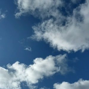 Meet your Posher, Amelie